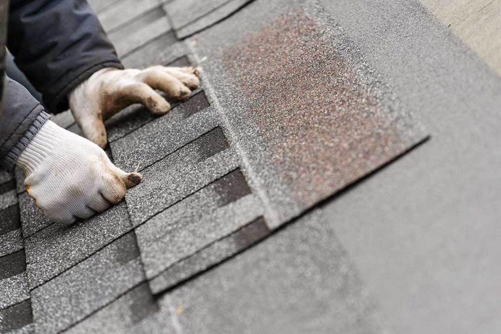 Homeowner compares roof shingle samples beside siding and trim in natural daylight.