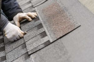 Homeowner compares roof shingle samples beside siding and trim in natural daylight.